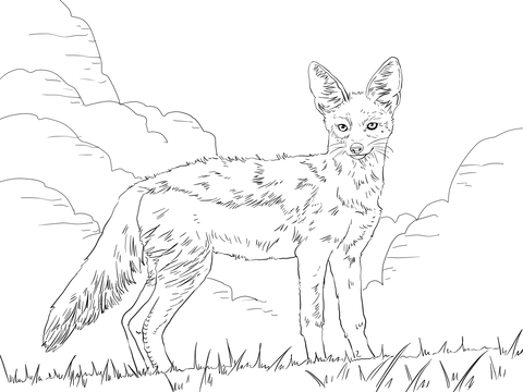 Side Striped Jackal Coloring Page